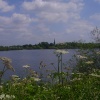 Attenborough Nature Reserve