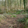 Otterford Lakes