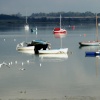 Estuary scene