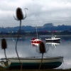 Estuary view