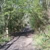 A nice walk