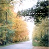 Ringwood, Hampshire. Autumn 1991
