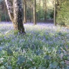 Another favourite place