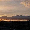 Dawn