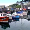 Mevagissey harbour