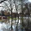 Flooded Park