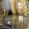 Behind the Mill