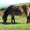 The grass is always greener.......