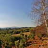 Arne Nature reserve, Dorset.