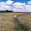 A stroll across the moors.