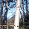 Faygate, Sussex