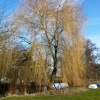 At Needham Mill