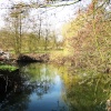 At Needham Mill