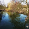 At Needham Mill