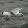 Landing.
