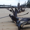 The Cruel Sea