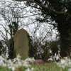 Overgrown Churchyard