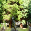 Graveyard