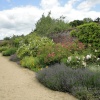 Border at the kitchen garden