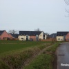 A view of Bressingham