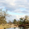 Bradgate Park
