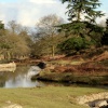 Bradgate Park