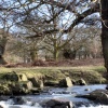 Bradgate Park