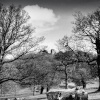 The hunting tower in Chatsworth Park