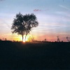 A May sunset over the forest