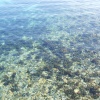 Clear water