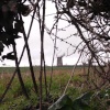 A hidden windmill