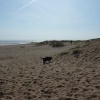 The Beach
