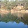 Reflections