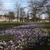 Spring in Harrogate