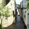 Back Street, Polperro