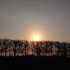 Sunset over the hedgerow