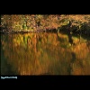 Autumn reflections at Welton