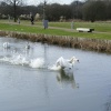 Whoops, another dodgy landing