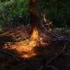 Light in a dark corner