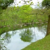 Dinckley