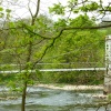 Suspension Bridge
