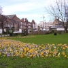 Springtime in Darlington