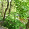 Brock Bottoms