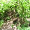 Brock Bottoms