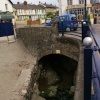 Small stream from under the road.