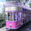 Seaton Trams