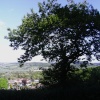 View over Colyford