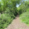 Much used path running parellel with the Broad
