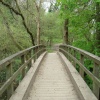 Box Hill