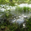 LAKESIDE